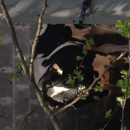 Bed and Breakfast Le Notaire 4*