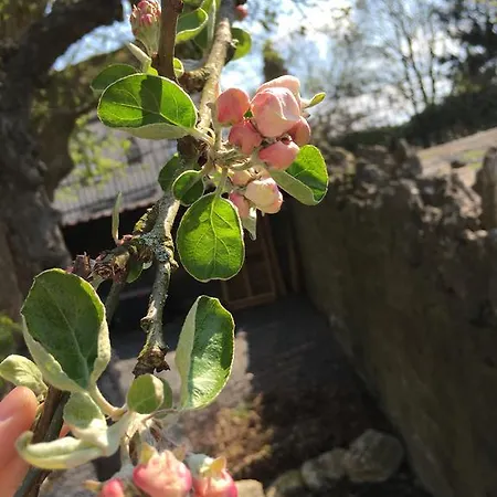 Bed and Breakfast Le Notaire