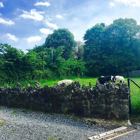 Bed and Breakfast Le Notaire Bomal