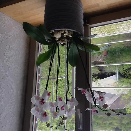 Bed and Breakfast Le Notaire Bomal