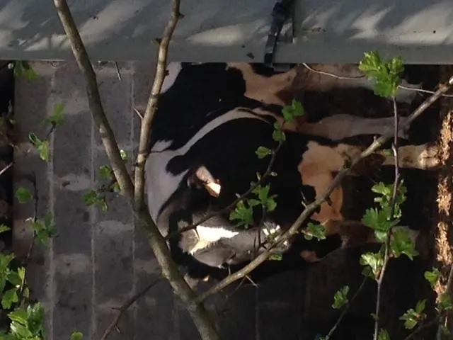 Bed & Breakfast Le Notaire 4*