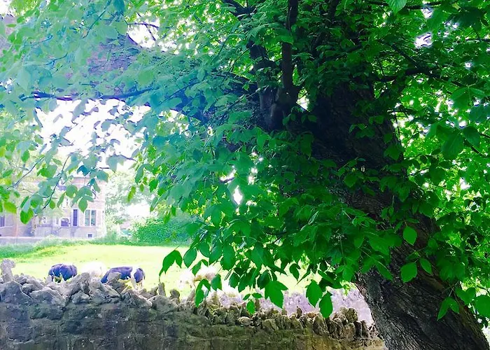 Bed & Breakfast Le Notaire 4*