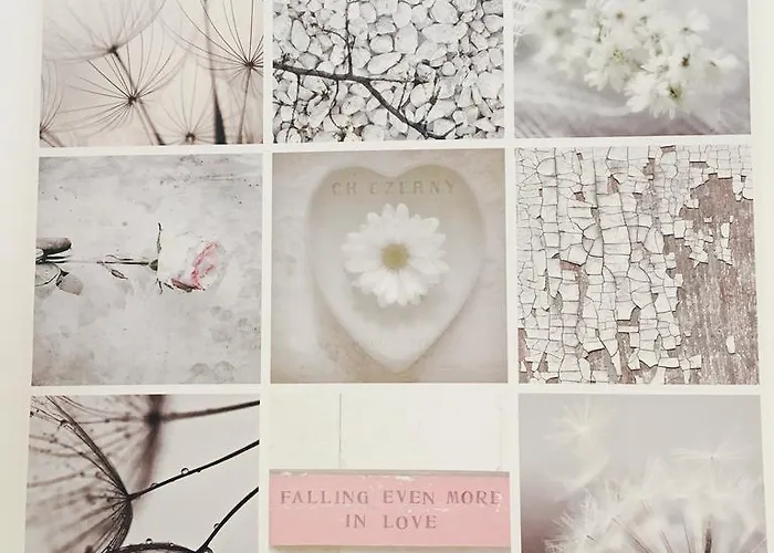 Bed & Breakfast Le Notaire 4*